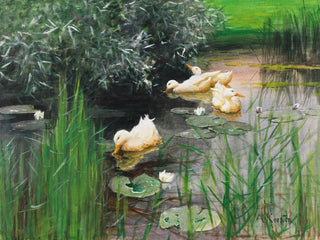Ducks in the Lily Pond - Alexander Koester — artwork view