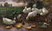 Duck with ducks and ducklings by the lake - Alexander Koester — artwork view