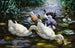 Five Ducks - Alexander Koester — artwork view