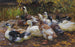 Mes canards, onze canards au bord de l'eau - Alexander Koester — artwork view
