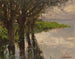 Reichenau, Weiden am See, soleil - Alexander Koester — artwork view