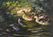 Six ducks on the water under riverside bushes - Alexander Koester — artwork view