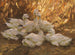 Six canards dans la paille - Alexander Koester — artwork view