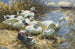 Sept canards au bord de l'eau - Alexander Koester — artwork view