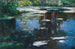 Flowers of the Pond, Altwasser near Brixen - Alexander Koester — artwork view