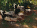 Two ducks on the water - Alexander Koester — artwork view