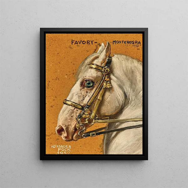 Favory Montenegro 1918 - Alexander Pock — framed artwork on a wall