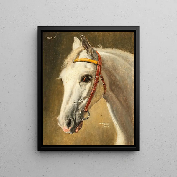 Portrait of Horse Quinta - Alexander Pock — framed artwork on a wall