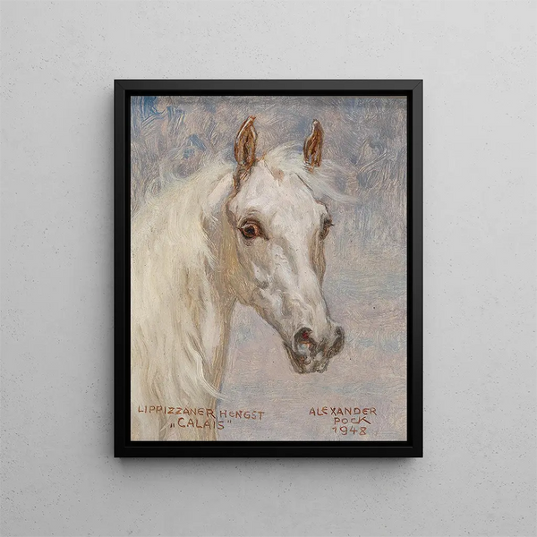 Portrait of Horse Calais - Alexander Pock — framed artwork on a wall