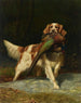 Springer Spaniel with Pheasant - Alexander Pope — artwork view