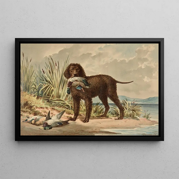 Retriever with curly coat standing, mallard in the mouth, three other ducks on the ground - Alexander Pope Jr — framed artwork on a wall