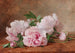 Peonies - Alexandre Gamba de Preydour — artwork view