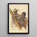 Drawings and paintings of Africa pl 47 - Alexandre Iacovleff — framed artwork on a wall