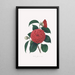 Illustrations and descriptions of the plants that make up the natural order of Camellieae Pl12 - Alfred Chandler