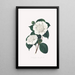 Illustrations and descriptions of the plants that make up the natural order of Camellieae Pl21 - Alfred Chandler — framed artwork on a wall