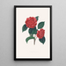 Illustrations and descriptions of the plants that make up the natural order of Camellieae Pl32 - Alfred Chandler