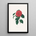 Illustrations and descriptions of the plants that make up the natural order of Camellieae Pl34 - Alfred Chandler