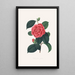Illustrations and descriptions of the plants that make up the natural order of Camellieae Pl35 - Alfred Chandler