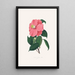 Illustrations and descriptions of the plants that make up the natural order of Camellieae Pl38 - Alfred Chandler — framed artwork on a wall