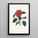 Illustrations and descriptions of the plants that make up the natural order of Camellieae Pl39 - Alfred Chandler — framed artwork on a wall