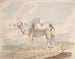 Camel loaded - Alfred Diston — artwork view