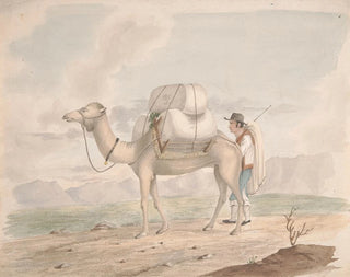 Camel loaded - Alfred Diston — artwork view