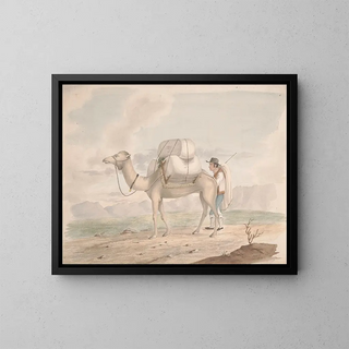 Camel loaded - Alfred Diston — framed artwork on a wall