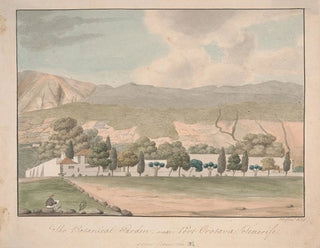 The botanical garden near Puerto de la Orotava, Tenerife - Alfred Diston — artwork view
