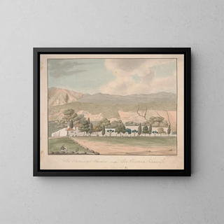 The botanical garden near Puerto de la Orotava, Tenerife - Alfred Diston — framed artwork on a wall
