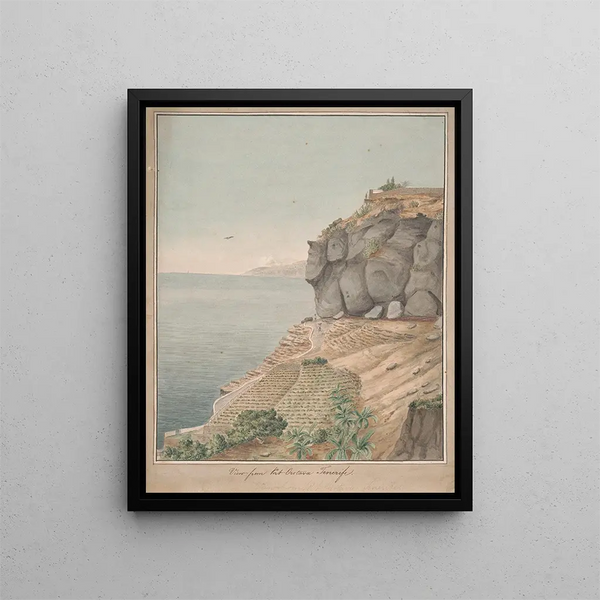 View from Port Orotava Tenerife - Alfred Diston — framed artwork on a wall