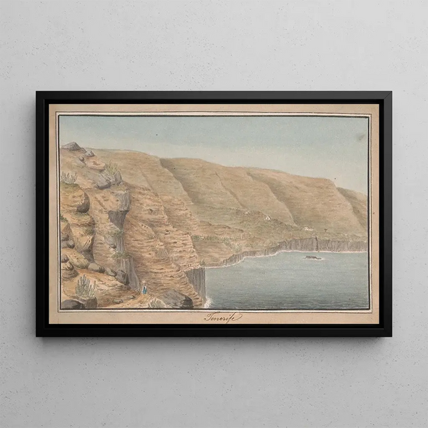 View of La Rambla de Castro near Port Orotava Tenerife - Alfred Diston — framed artwork on a wall