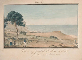 View of a part of Realesco de Abasco from the road to Cruz Santa - Alfred Diston — artwork view