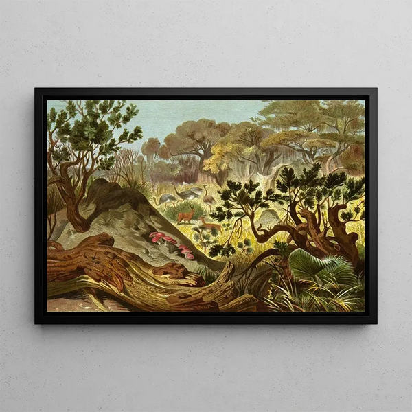 Les Insectes, mille-pattes et araignées, pl. 16 - Alfred Edmund Brehm — framed artwork on a wall