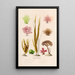 Marine Algae Painting - Alfred Frödl — framed artwork on a wall