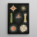 Animal and radish painting - Alfred Frödl — framed artwork on a wall