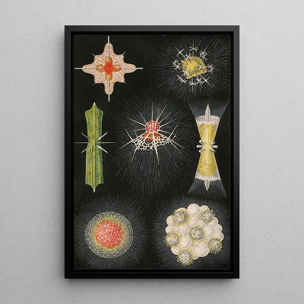 Animal and radish painting - Alfred Frödl — framed artwork on a wall