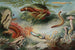 Annelids - Alfred Frödl — artwork view