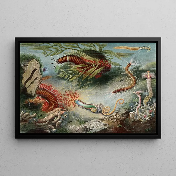 Annelids - Alfred Frödl — framed artwork on a wall