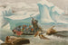 Hunting of the Walruses - Alfred Frödl — artwork view