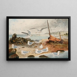 Seagulls argentés - Alfred Frödl — framed artwork on a wall