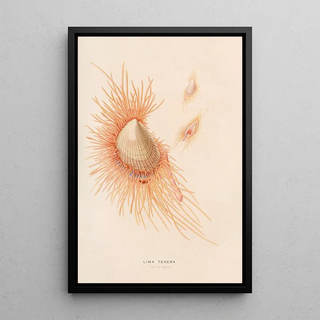 Lima tender painting - Alfred Frödl — framed artwork on a wall