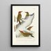 Monographie des picides pl23 - Alfred Malherbe — framed artwork on a wall