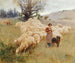 a flock of sheep - Alfred Plauzeau — artwork view