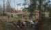 Spring in the Countryside - Alfred Thorne — artwork view