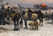 Return Home - Alfred von Wierusz-Kowalski — artwork view