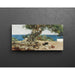 Reproduction of the painting Algarrobo (The carob tree) - Joaquín Sorolla