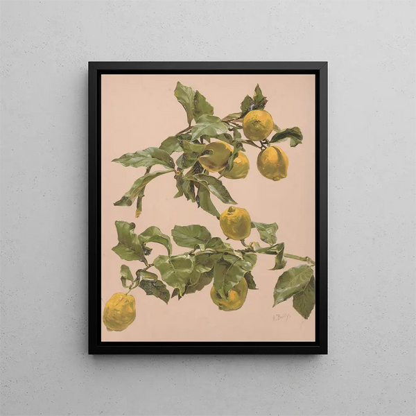 Watercolor painting of a lemon tree - Alice Bailly — framed artwork on a wall