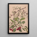 Reproduction of the painting of a cherry branch watercolor painting - Alice Bailly