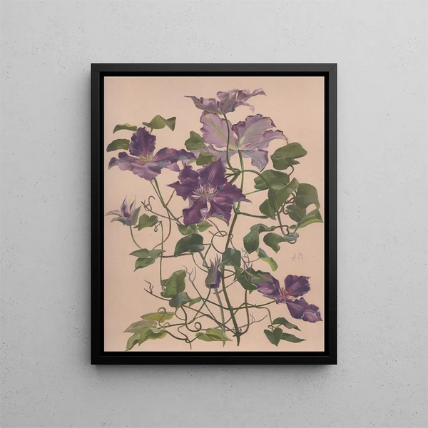 a watercolor painting of a large-flowered climatite - Alice Bailly — framed artwork on a wall