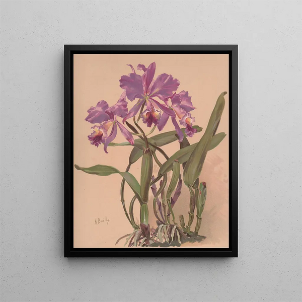 a watercolor painting of an orchid from the Cattleya genus - Alice Bailly — framed artwork on a wall
